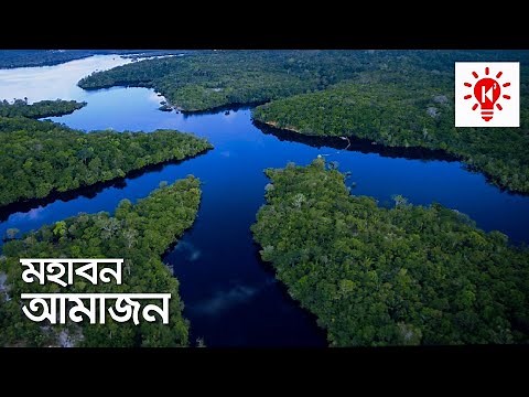 আমাজন বন | কি কেন কিভাবে | Amazon Rainforest | Ki Keno Kivabe