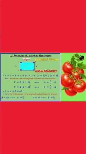Le rectangle forme géomatique 9 16 #maths #mathematics #mathstricks