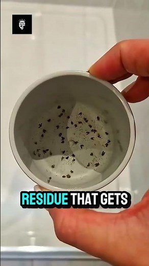 How to Get Rid of Flies Hiding in Pipes.