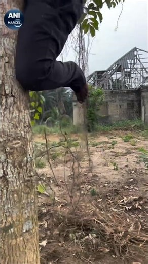 Who remove chair 🪑😭