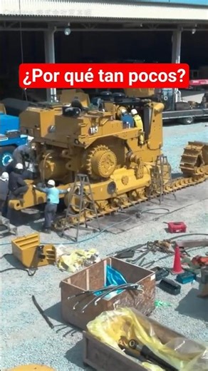 Only 6,000 in the world Cat D11