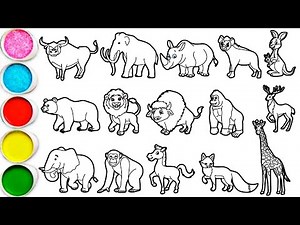 Draw Amazing Animals in 30 Minutes - Lion, Elephant, Bear, Fox, Giraffe, Kangaroo, Zebra & others