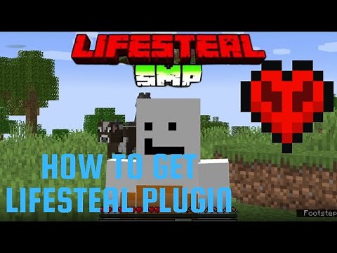 How to get the Lifesteal SMP Plugin!