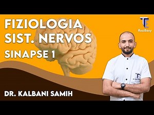 Physiology of the nervous system: Synaptic transmission (Part 1)