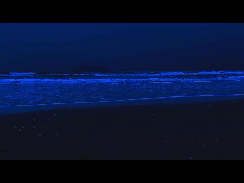 Deep Sleeping 10 Hours - Ocean Sounds For Fall Into Tranquil With Rolling Waves in Night To Relaxing