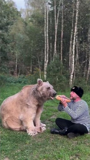 Living With a Giant Pet Bear | Heartwarming Bond You Won’t Believe