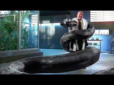 ALL the BEST Scenes from Anaconda 3: Offspring | Giant Snake Movie 🌀 4K