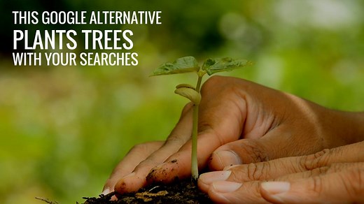 Plant trees just by searching the web: By using this search engine you can help the environment one search at a time. Learn more info.ecosia.org 💻 > 🌱 > 🌳🌳🌳 > 😊 & 🐨 | Ecosia
