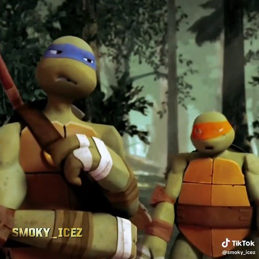 Teenage Mutant Ninja Turtles: Mikey and Donnie Moments