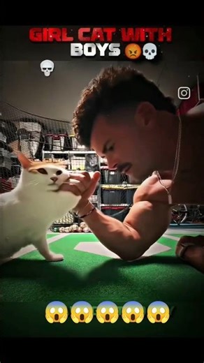 When the Girl Cat Shows Who’s the Real Boss 😼🔥 #aliendance #funny #greenalien #viral2025 #dancetrend