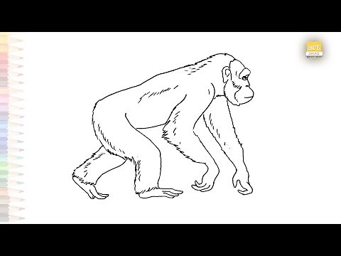 Ape drawing video | Primates drawings | How to draw Ape step by step | Gorilla drawings easy