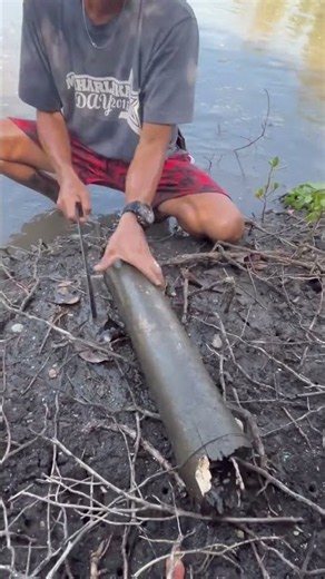 Traditional Bamboo Crab Trap Catch in the Mangroves! 🦀