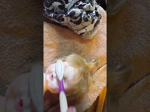 How to restore your vintage vinyl dolls