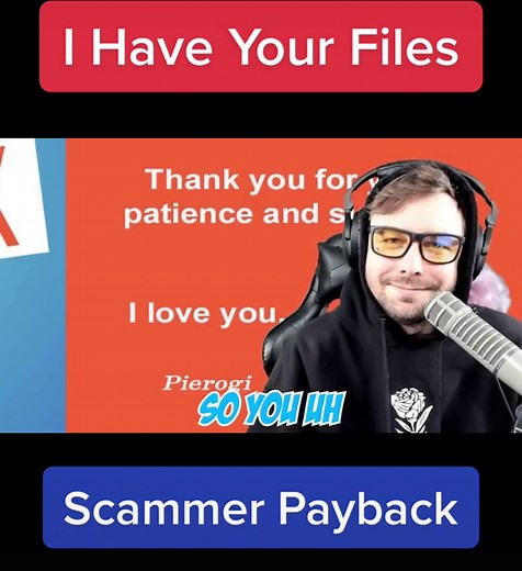 Checkmate! Pierogi Anti-Scammer Exposes Netflix Thief