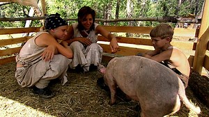 Survival | Frontier House