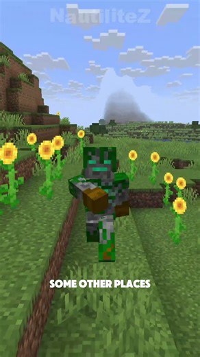 WHERE Do BEE NESTS Spawn?