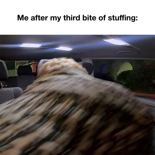 3.4K views · 76 reactions | Did you watch #BelowDeckMed last night? Who’s most at fault? Kyle, Nat, Tumi, or Norma? Listen to our recap, out now. Link in bio! @benmandelker @ronniekaram #belowdeck #bravto | Watch What Crappens | Facebook