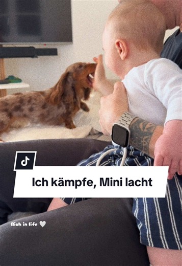 Unser Baby hat die beste große Schwester 🤍🐾 Was haben wir ein Glück, dass Kiri so ein toller, verständnisvoller, vorsichtiger und umsichtiger Hund ist. Wir könnten uns keinen besseren Partner in Crime für unseren Mini vorstellen. Danke Akira, dass es dich gibt 🤍 #zwergdackel#dackel#familienhund#akira#dachshund