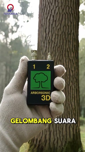 How sophisticated is this tree health measuring tool? #shortsyt #treehealth #trees