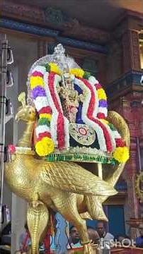 மிக விசேஷமான கார்த்திகை ஐந்தாம் சோமவாரம் ஸ்ரீ தெண்டாயுதபானி சிங்கப்பூர்