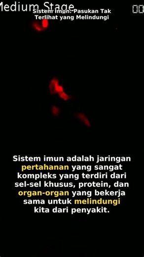 Sistem Imun: Pasukan Tak Terlihat yang Melindungi Tubuh Setiap Detik #viral