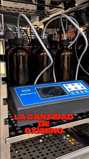 ¿Qué es la DBO y por qué es tan importante?