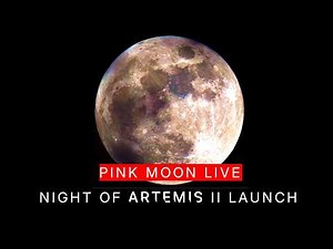 LIVE "Pink Moon" - During Artemis II Launch | Telescope View | April 1st, 2026