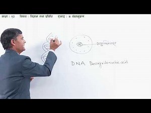 18 Class 10 Science Unit 4 Heredity