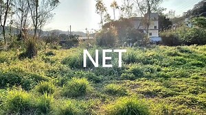 2K views · 61 reactions | NET Collection SPRING/SUMMER 2021 #SUMMER #BEGINS #IN #NET | NET | Facebook