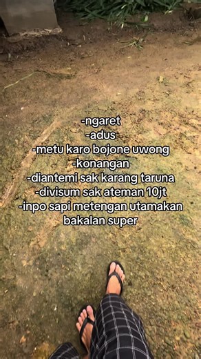Ide Bagus Tenan: Kreativitas dengan Sapi Perah