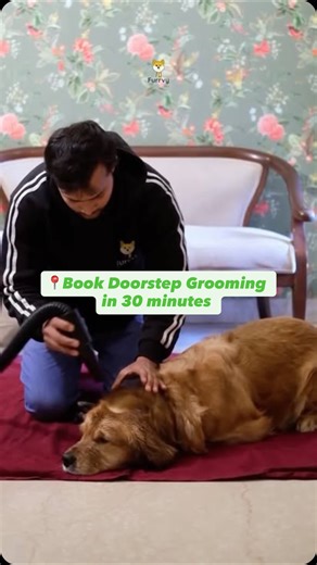 Furrvy | Your pet parenting partner on Instagram: "This Valentine’s, while you plan the perfect date… don’t forget your furrymate 🐾💚 While you enjoy your special plans, your furrymate enjoys a fresh, feel-good pamper session at home🐶 Gentle care. Happy tails. 30-minute doorstep grooming✨ Because true love includes the one with four paws. 💘🐶 . . . . #ValentinesDay #doggrooming #Furrymate #DoorstepGrooming #HappyDogs PetParentsLife DogCare PetPampering FurryLove ValentinesWithPets DogGrooming