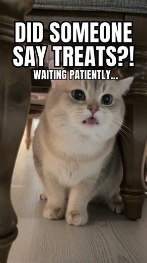 Sunset Ladybug Surprise at Cash's Front Yard