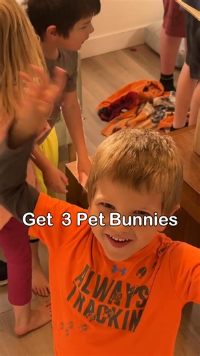 18K views · 102 reactions | The bunnies are back and having the time of their lives. The kids can’t get enough of their fluffy little friends hopping all around. There’s something magical about watching their excitement and laughter together. Bunny fun never gets old in our house. #10kidsin10years #bunnyfun #familytime #largefamilylife #kidsloveanimals #springfun #familymemories #cutepets #happykids #makingmemories | 10kidsin10years | Facebook