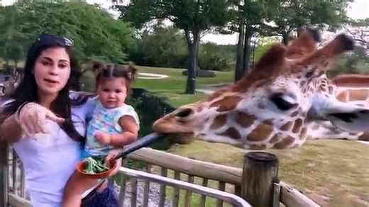 Kids_and_Babies_Feeding_Animals_in_ZOO_-_Cute_Babies_Meeting_Animals_for_the_fir