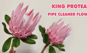 【DIY Simple Crafts】帝王花扭扭棒花制作教程DIY Beautiful flowers with Pipe Cleaner_哔哩哔哩_bilibili