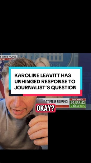 Karoline Leavitt, the White House Press Secretary, reacted with an insult to a journalist’s question about whether or not ICE is “doing everything right”, as Kristi Noem given several statistics that show a pattern of potentially unlawful behavior.