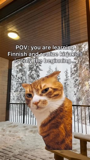 Virpi Hach on Instagram: "😂🩵 have you felt like this before? But don’t worry at all about spoken Finnish, I promise you that once you understand the system, it is not difficult 🫶 in my courses you are learning spoken Finnish from the beginning on 🥰 #learnfinnish #finnishhumor #finnishmeme #finnishlanguage #learningfinnish"