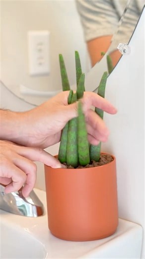 Drain Snake Plant By ForgeCore https://than.gs/m/1420122 | Thangs