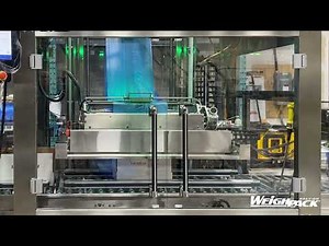 How to Automatically Insert Bags into RSC Cases for Frozen Foods