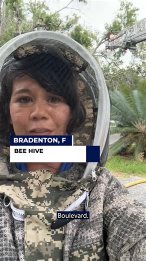 Buzzing above a Bradenton neighborhood, a beehive caused concern for the homeowner and his neighbors. As a bee expert and his team went to work to remove the hive, they had the support and help of a number of fire agencies from across Manatee County. More Below🔗⬇️ | FOX 13 News - Tampa Bay