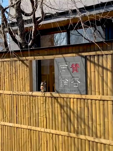 甘辛ダレが決め手！家で作れる本格レシピ【名古屋風 手羽先の唐揚げ】_400