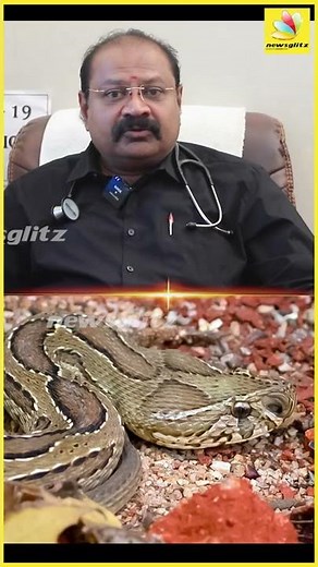 கண்ணாடி விரியன் பாம்பு கடிச்சா என்னென்ன பாதிப்பு வரும் | DR Soundara Raj About Snakes | #Shorts