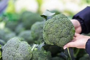 9 Health Benefits of Broccoli You Should Know About