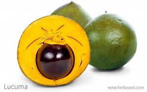 Lucuma