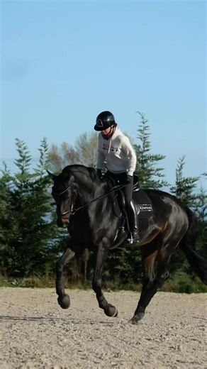 Améliorer sa position à cheval - Conseils et astuces de dressage
