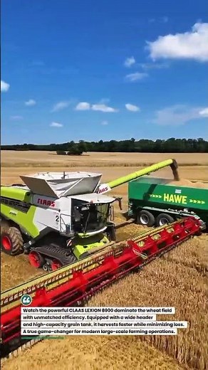 CLAAS LEXION 8900 Harvest Beast in Action 🌾 #CombineHarvester #Farming #AgriTech