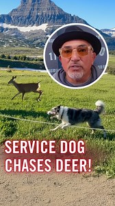 In this Cesar Reacts video, we learn why excitement without control becomes dangerous. Even service dogs need calm leadership in nature. Full stories and real breakthroughs on my YouTube channel @CesarMillanOfficial En este video de Cesar Reacts, aprendemos por qué la excitación sin control puede volverse peligrosa. Incluso los perros de servicio necesitan liderazgo en calma, especialmente en entornos naturales. Ve las historias completas y las verdaderas transformaciones en mi canal de YouTube 
