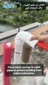 152K views · 487 reactions | Keep your home rodent-free with our...