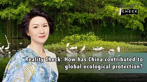 1.6K views · 43 reactions | A national conference on ecological protection highlighted the building of a Beautiful China, calling the next five years vital for a green future. How have China's efforts to protect its ecosystem contributed to global ecological protection? #RealityCheck | CGTN | Facebook