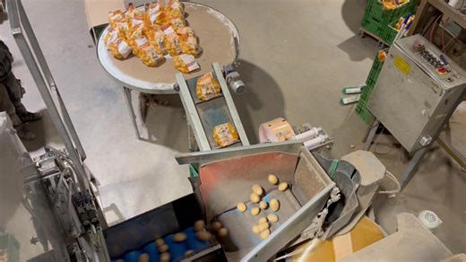 Innovative Packaging Technologies for Automation